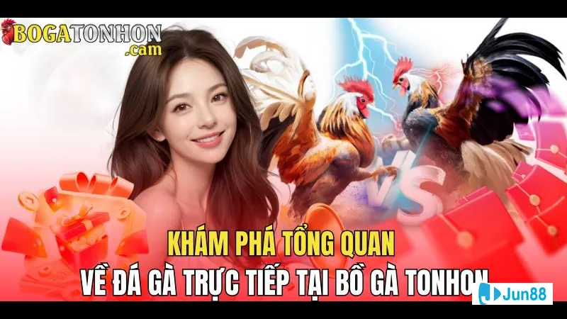 đội ngũ bình luận viên chuyên nghiệp Đội ngũ bình luận viên chuyên nghiệp