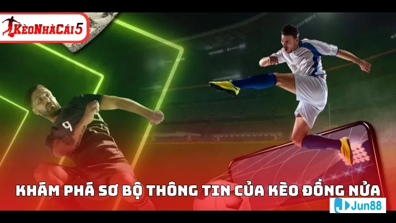 Đội chấp hợp lý Đội chấp hợp lý